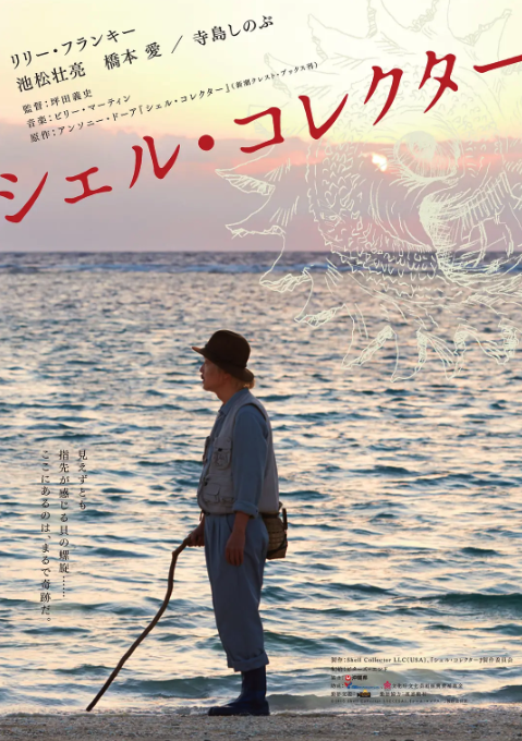 貝殼收藏家
