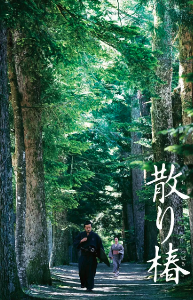 山茶花飄零