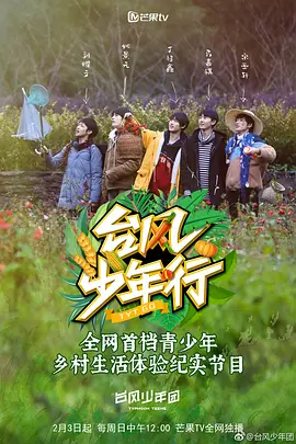 臺風少年行