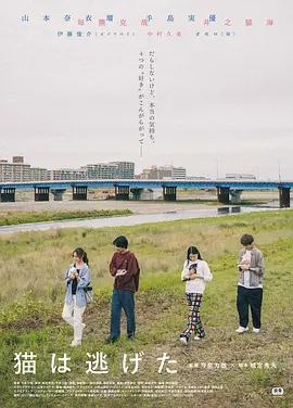 貓貓?zhí)幼吡?><div   id=