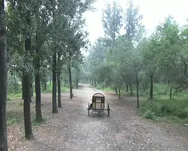 錯門記