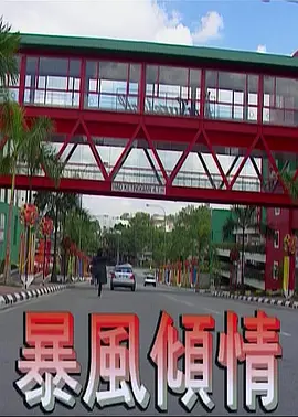 暴風(fēng)傾情