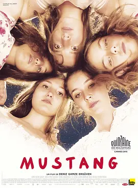 野馬Mustang