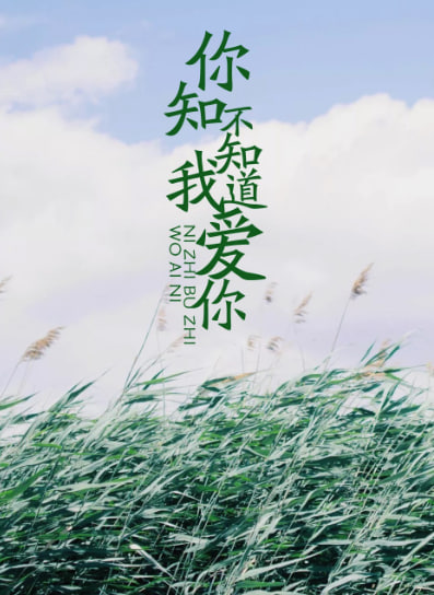 你知不知道我愛你