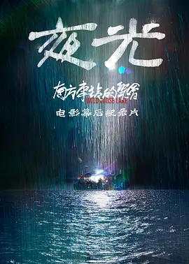 南方車站的聚會·紀錄片