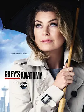實(shí)習(xí)醫(yī)生格蕾第十二季Grey'sAnatomySeason12